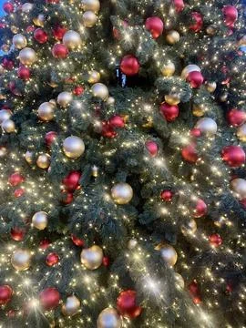Christmas tree background Stock Photos