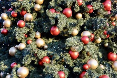 Christmas tree background Stock-Fotos