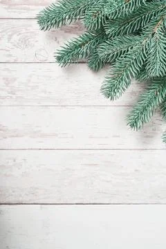 Christmas tree background. Pine branches on white wooden background. Flat lay Stock Photos