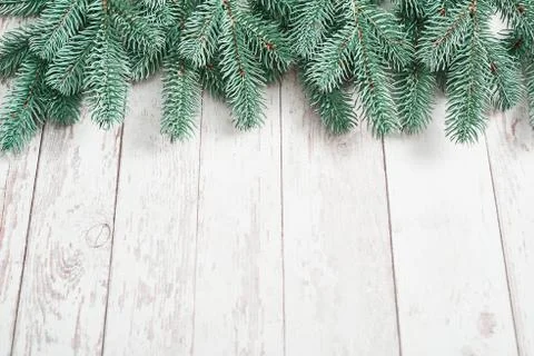 Christmas tree background. Pine branches on white wooden background. Flat lay Stock Photos