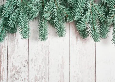 Christmas tree background. Pine branches on white wooden background. Flat lay Stock Photos