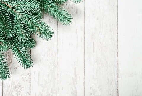 Christmas tree background. Pine branches on white wooden background. Flat lay Stock Photos