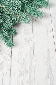 Christmas tree background. Pine branches on white wooden background. Flat lay Stock Photos