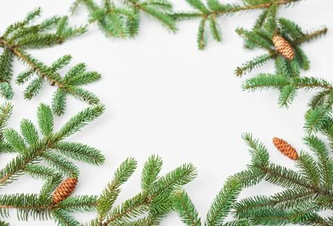Christmas tree background. Pine branches on white wooden background. Flat lay Stock Photos