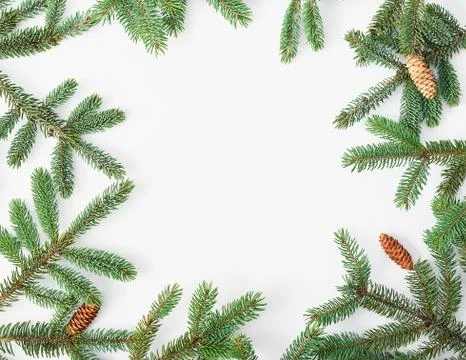 Christmas tree background. Pine branches on white wooden background. Flat lay Stock Photos