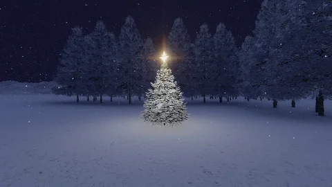 Christmas tree backgrounds with snowflakes Stock Footage