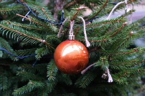 Christmas tree ball Stock Photos