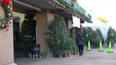 Christmas tree bazaar. Video stock 148397320