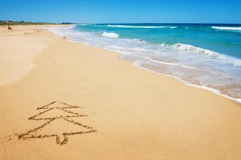 Christmas tree on the beach Stock Photos