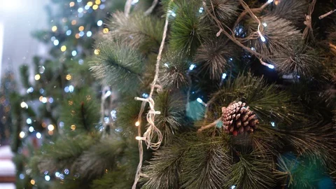 Christmas tree with beautiful light bulb. Stock Footage 99205435