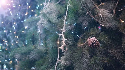 Christmas tree with beautiful lights. Stock Footage 96097612
