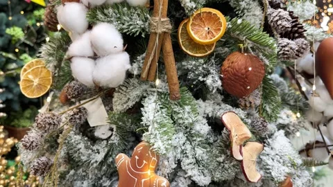 Christmas tree being decorated with gingerbread man Stock Footage 292025291