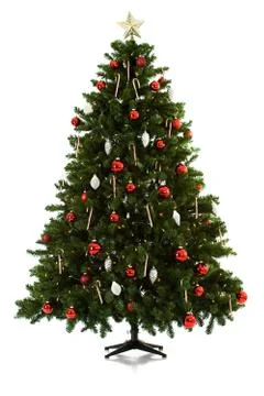Christmas tree being set up in 16 image series Stock Photos