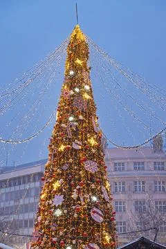 Christmas Tree Belgrade Stock Photos