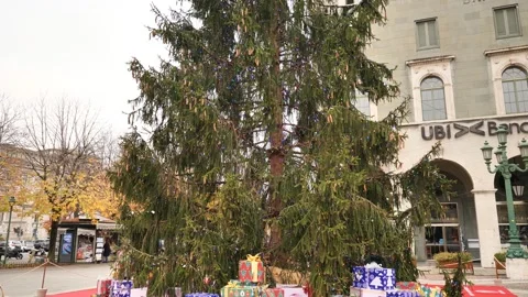 Christmas tree in Bergamo Stock Footage 144167524