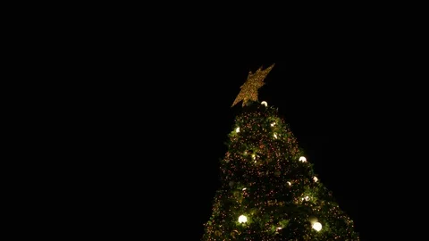Christmas Tree with bit sparking star Stock Footage 86511899