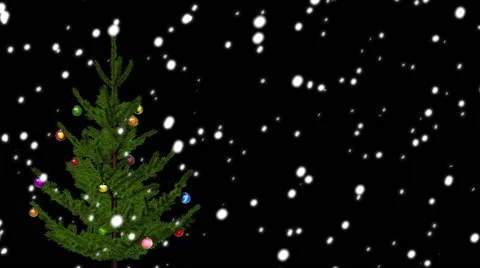 Christmas Tree On Black Background with place for your text Stock Footage 55859868