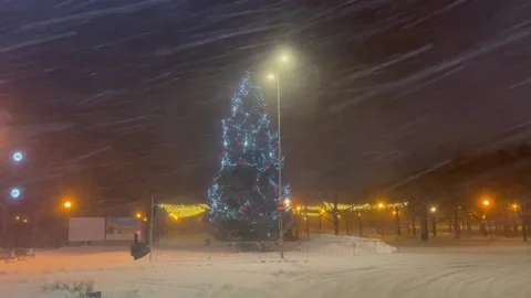 Christmas Tree in a Blizzard Vídeos de archivo 225635528