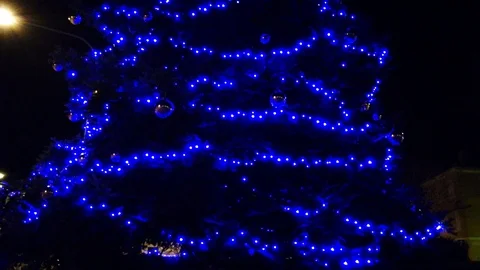 Christmas Tree Blue Lights Stock Footage 99562090