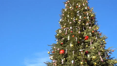Christmas tree on a blue sky in 4K. Kiev Stock Footage 124087490