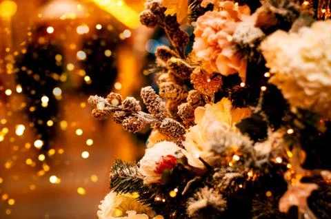 Christmas tree with blurred background Stock Photos