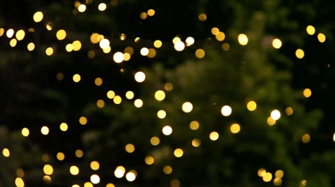 Christmas tree blurred concept 스톡 동영상 33666043