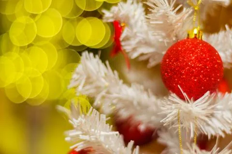 Christmas tree on bokeh background Stock Photos