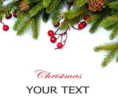 Christmas Tree Border Design Isolated on white Stock Photos