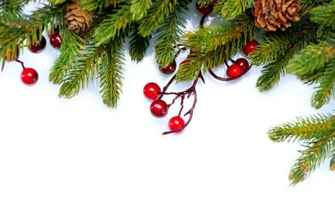 Christmas Tree Border Design Isolated on white Stock Photos