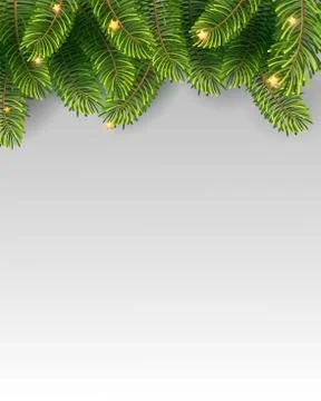 Christmas Tree Borders, Isolated On White Background, Vector Illustration. Stock Illustration