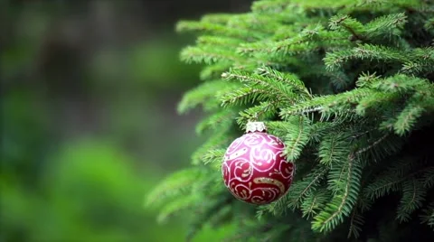 Christmas tree branch decorated with red ball. Holiday background Stock Footage 66436240