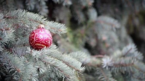 Christmas tree branch decorated with red ball. Holiday background Stock Footage 66436291
