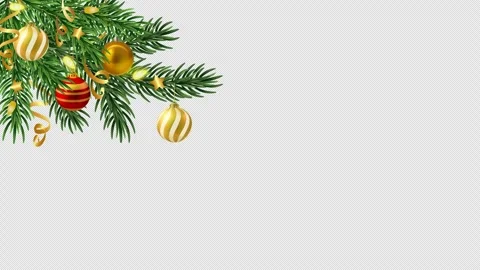 Christmas tree branch Stock Footage 255633557