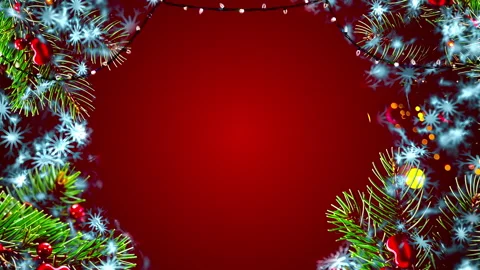 Christmas tree branch Stock Footage 347673812