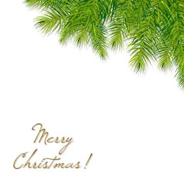 Christmas tree branch Stock Illustration