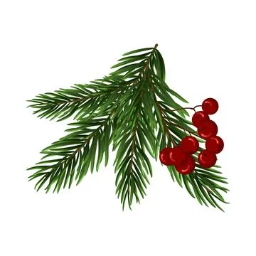 Christmas Tree Branch Stock Illustration