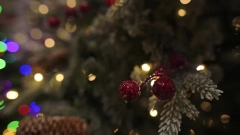 Christmas tree branch with red berries and colorful blurred festive lights in Stock Footage 320147237