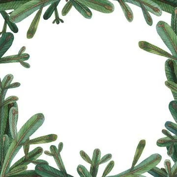 Christmas Tree Branch Square Frame Stock Illustration