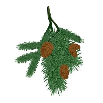 Christmas tree branch, vector isolated illustration, new year, christmass Stock Illustration