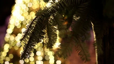 A christmas tree branches and defocused bright lights on background. Vídeo Stock 70749919