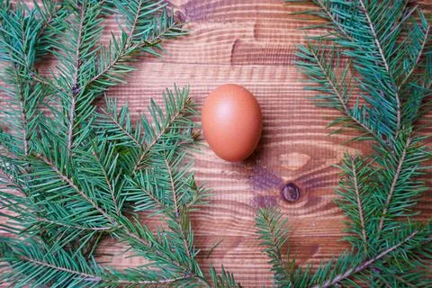Christmas tree branches around the egg of wooden background Stock Photos