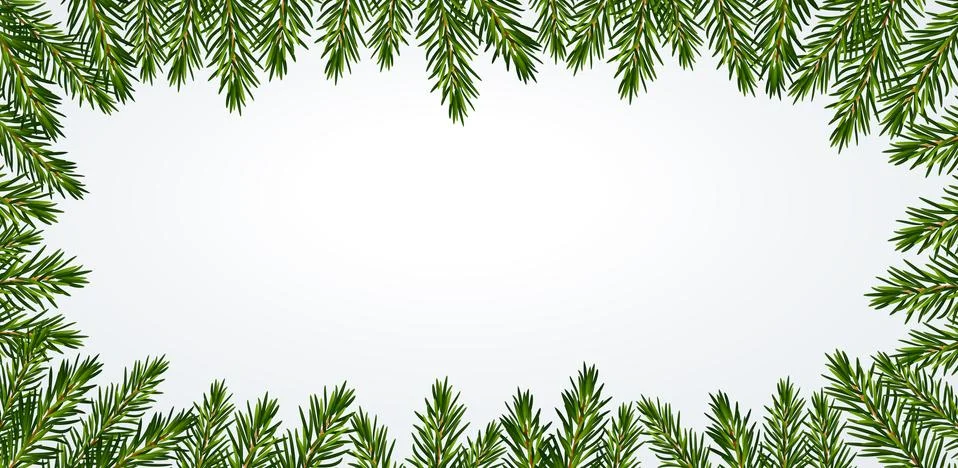 Christmas tree branches background. Border for flyer, cover, presentation Illustrazione stock
