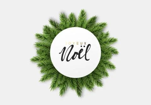 Christmas tree branches. Background with fluffy coniferous fir-trees and pines Stock Illustration