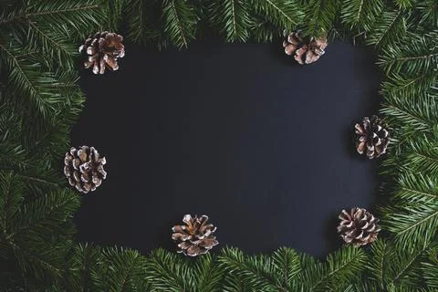 Christmas tree branches on black Stock Photos