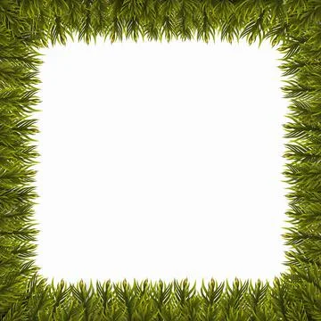 Christmas tree branches border. Stock Illustration