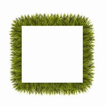 Christmas tree branches border, isolated on white background. Frame made of f Stock Illustration