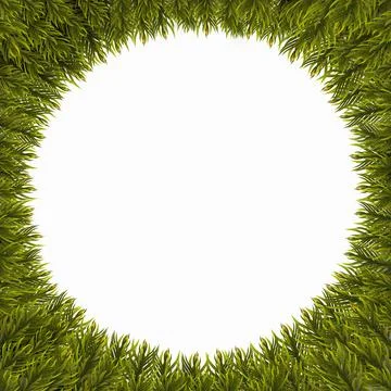 Christmas tree branches border, isolated on white background. Frame made of f Stock Illustration