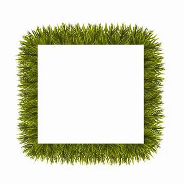 Christmas tree branches border, isolated on white background. Frame made of fir Stock Illustration