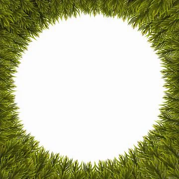 Christmas tree branches border, isolated on white background. Frame made of fir Stock Illustration