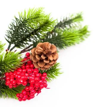 Christmas tree branches border over white Foto stock